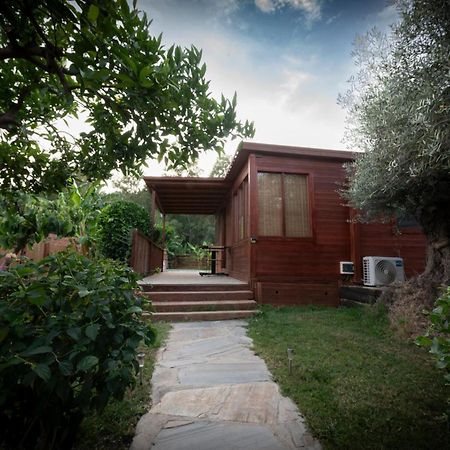 El Jardin Del Eden Vila Orgiva Exterior foto