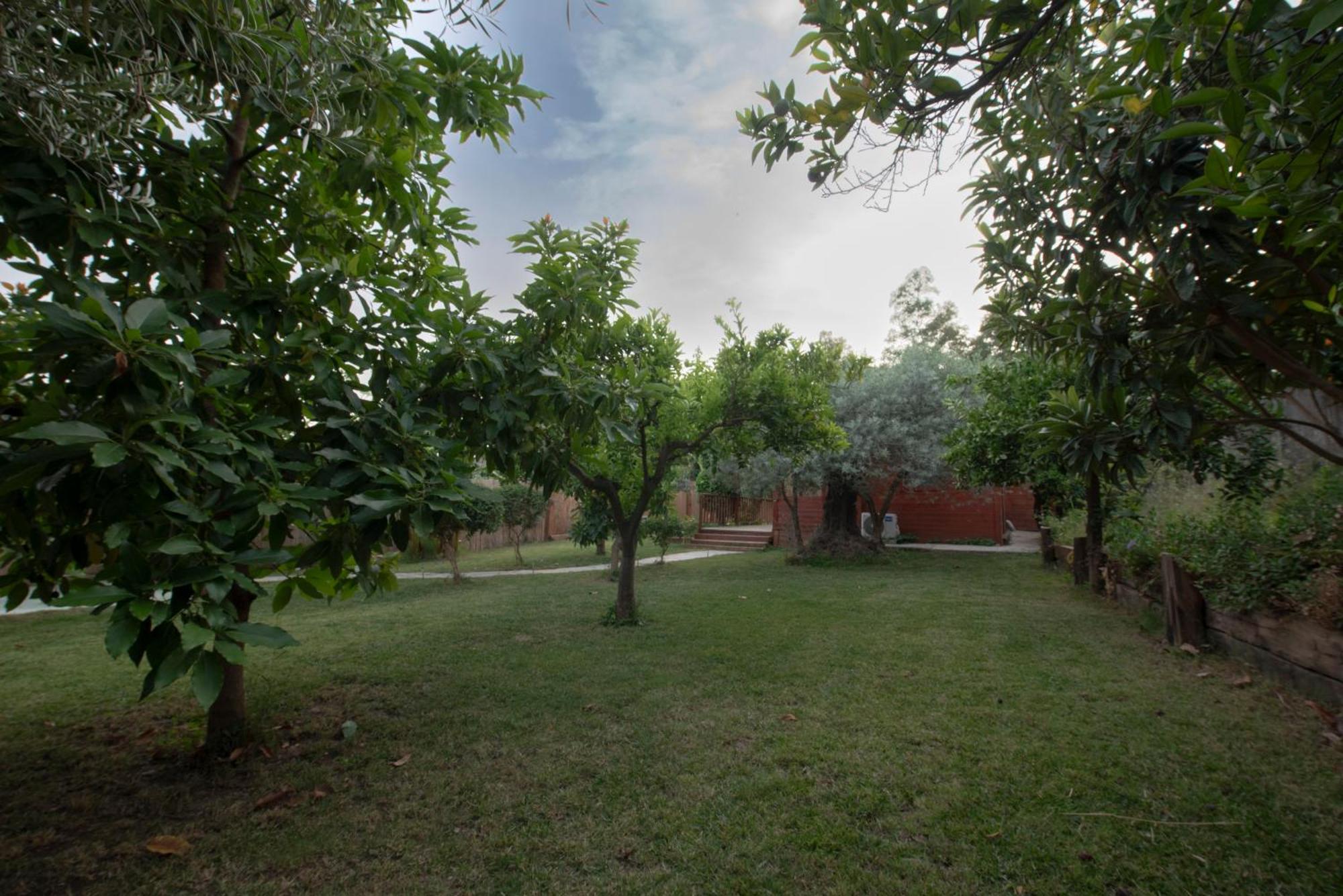 El Jardin Del Eden Vila Orgiva Exterior foto